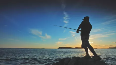 Check Point: Dangerous phishing attacks in detail...