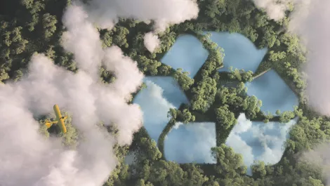 Clouds greener in NZ
