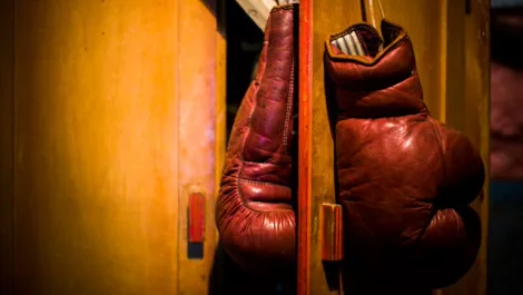 Boxing gloves 17685