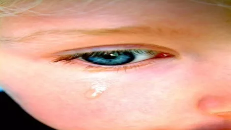 Childabuse21