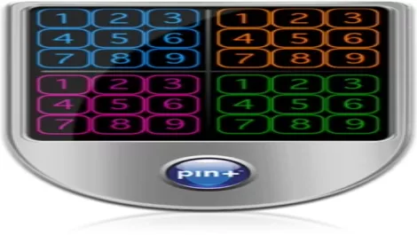 Pinplus