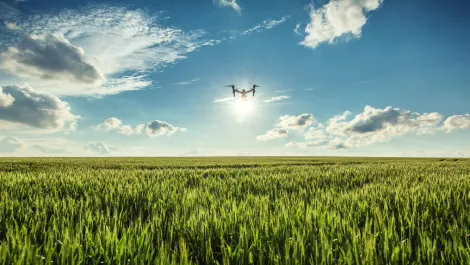 Australian farmers develop special drones to keep track of livestock