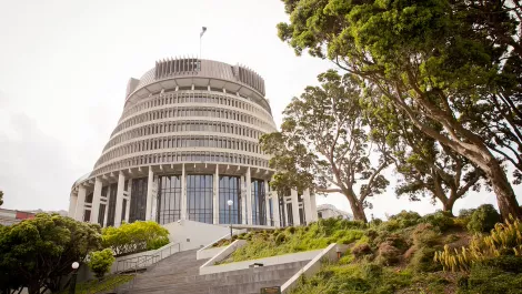 Government widens CTO search despite more than 60 applicants
