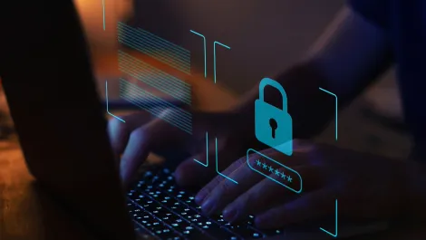 OECD adopts privacy safeguards while accessing personal data