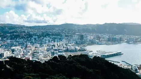 Wellington Council under close watch for all the wrong reasons